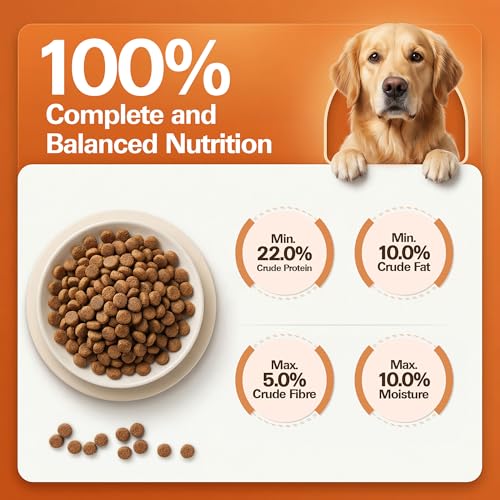 Image of Avant Furst Adult Dry Dog Food Chicken & Vegetable | Dog Food Adult with Real Chicken Protein & Vegetables | Dog Dry Food for Daily Nutrition | No Artificial Additives | 2.8kg