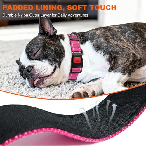 Taglory Hundehalsband, Weich Gepolstertes Neopren Nylon Hunde Halsband für Mittlere Hunde, Verstellbare und Reflektierend für das Training, Hot Pink
