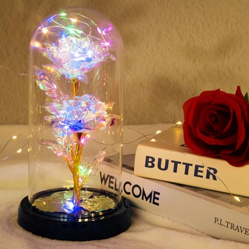 Rosa Eterna en Cúpula de Cristal con Luces Cálidas, Exquisitas y Bonitas, La Bella y La Bestia Rosa es un Regalo Romántico para Navidad, San Valentín, Cumpleaños y Aniversarios.