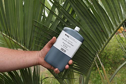 Todds Palm Tree Feed Fertiliser M183 250ml