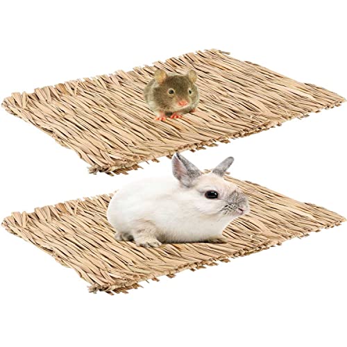 Best Bedding For Bunnies