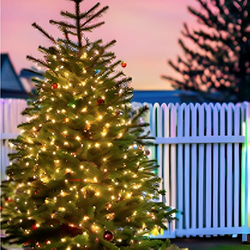 Lucky Shine 100 Clear Warm Led Christmas Lights, Commercial Grade Green Wire String Lights 33 Ft, For Indoor And Outdoor Trees thumb #2