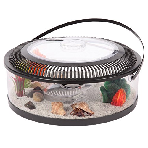 Best Reptile Houses