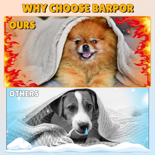 Barpor Waterproof Dog Blanket Washable - Coral Cotton Fleece Double Sided Pet Blanket 102x73cm Soft and Warm Reversible Pet Throws for Medium Dogs Cats Protects Bed Sofa Car Sofa Bed Cover Grey - Image 6