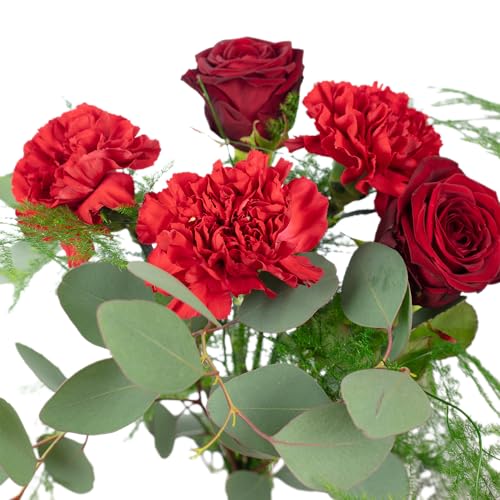 Flowerbox Blumenstrauß ’Ruby Harmony’ - Größe S - Stiellänge ca. 40 cm - Strauß frischer Blumen