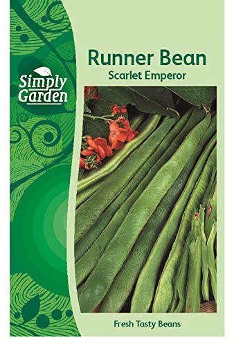 Simply Garden Runner Bean Scarlet Emperor Seeds Grow Your Own Vegetables