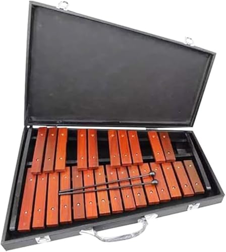 KryZaro ؋ 25  sAm^Ŋy }zKj[F gؐ Քt jp cX?wjENX}XEav[g ymߋ