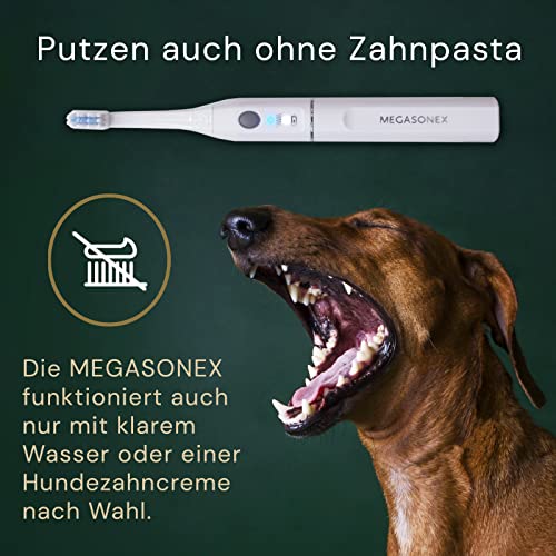 Megasonex M8 Ultraschallzahnbürste auch für Hund und Katze - mit extra Ruhemodus ohne Vibration für kleine & große Hunde oder Katzen - Inkl. 2 Bürstenköpfe