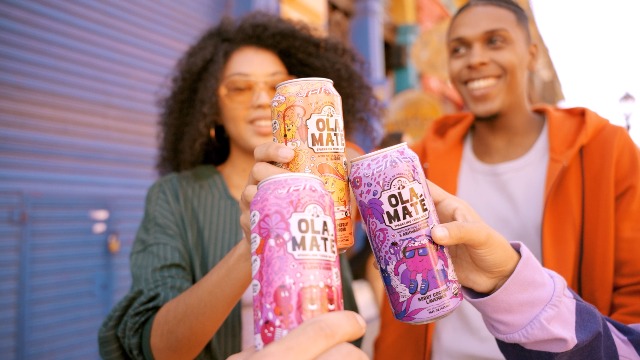 Amazon.com : Yerba Mate Energy Drink - Low Sugar Sparkling Tea