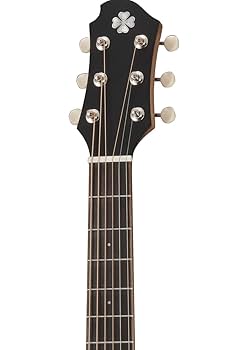 【美品】ZEMAITIS CAM-LTD ミニアコースティックギター 美品】ZEMAITIS CAM-LTD ミニアコースティックギター Amazon