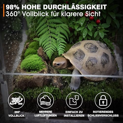 GTSEEMUU Faunarium, Insektenterrarium, Acryl-Terrarium, Allzweckbehälter für Reptilien, Amphibien, Sprungspinnen, Vogelspinnen, Schnecken, Frösche und Insekten, 12 x 11 x 20 cm