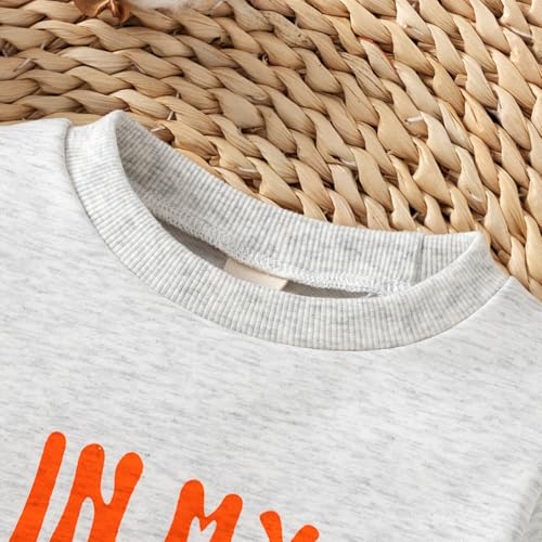 Image of Toddler Baby Girl First Birthday Outfit In My One Year Old Era Sweatshirt Tops Little Princess 1st Birthday Clothes