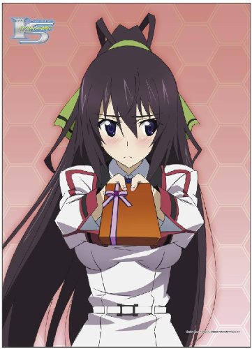 篠ノ之箒画像集 ニコニコ動画