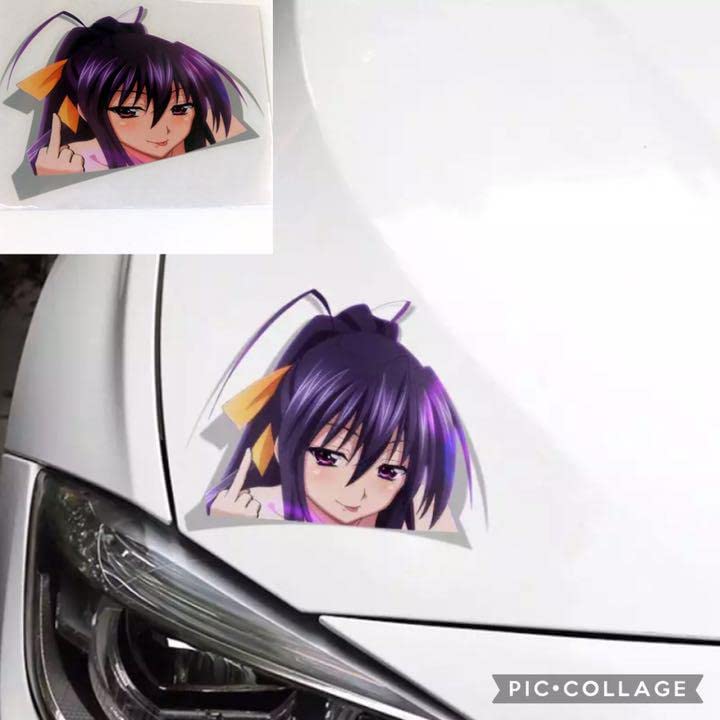 Amazon.co.jp: 姫島朱乃 ハイスクールD×D 3D ステッカー 防水 痛