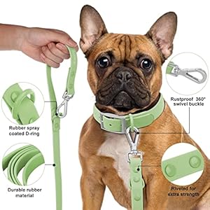 Wisedog-Waterproof-Standard-Dog-Leashes-with-2-Hooks-5-ft-6-ft-Lengths-Adjustable-for-Traffic-Control-Safety-for-Small-Medium-Large-Dogs-Walking-Sage-GreenM - Cucciolini Doodles Wisedog-Waterproof-Standard-Dog-Leashes-with-2-Hooks-5-ft-6-ft-Lengths-Adjustable-for-Traffic-Control-Safety-for-Small-Medium-Large-Dogs-Walking-Sage-GreenM