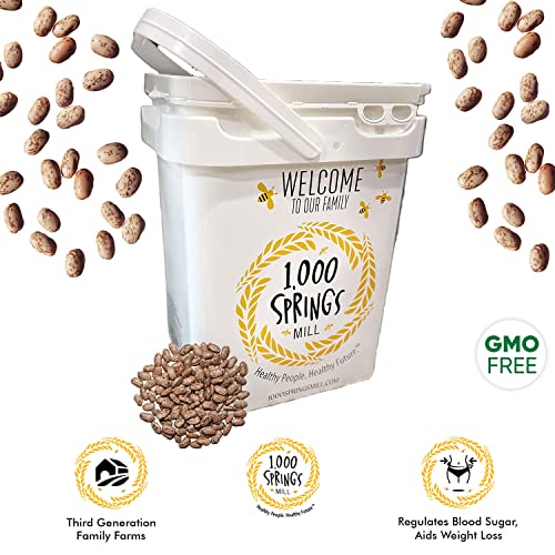 1000 Springs Mill - Bulk Organic Pinto Beans 25Lb Bulk Bucket | Used For Soups, Stews, Dips, Chili, Burritos, Refried Beans And More | Non-Gmo, Bulk Dry Brown Beans | Vegan Friendly #TOP1