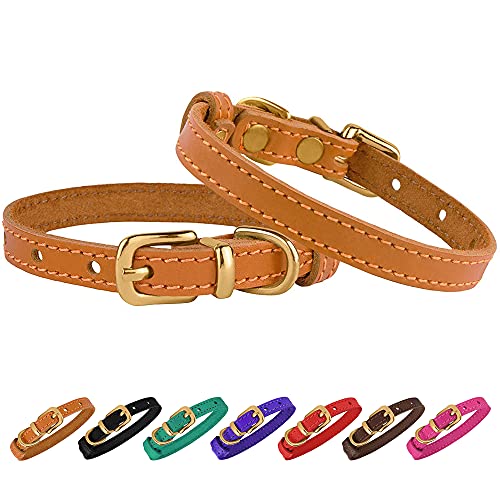 bronze dog leather
