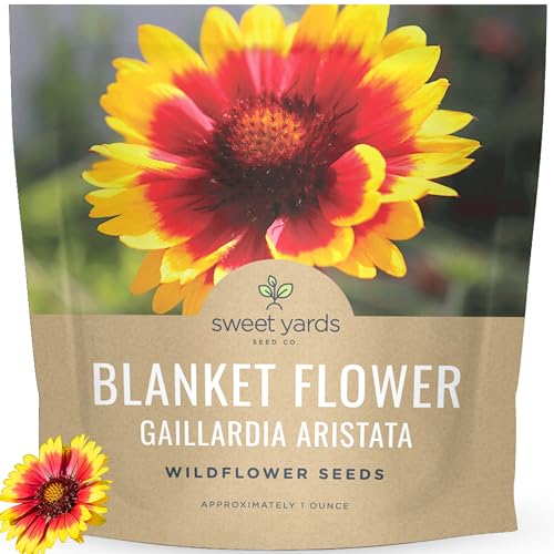 Blanket Flower Gaillardia aristata Large 1 Ounce Packet 9 000 Flower Seeds for Planting