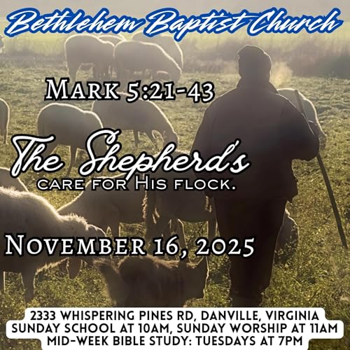 Mark 5:21-43, The Shepherd’s care for His flock.