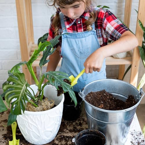 Doter Monstera Potting Soil 2qt - Premium Tropical Blend with Rapid Drainage for Growing and Repotting Monstera Deliciosa (Split-Leaf Philodendron) and Swiss Cheese Plants - Thumbnail 6