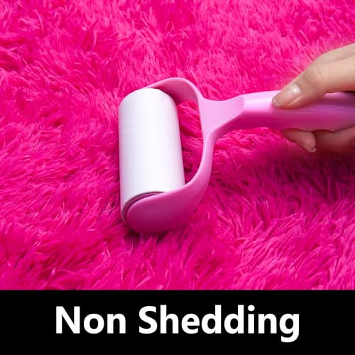 Fluffy Rug Stain Resistant 3x5 Feet, Hot Pink Cute Rugs for Bedroom Aesthetic, Modern Plush Area Rugs for Bedroom