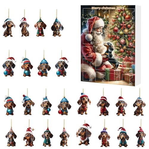 2025NX}XAhxgJ_[ | NX}XI[ig _bNXthtBMA ,킢y_g lq 12c[rO֗p