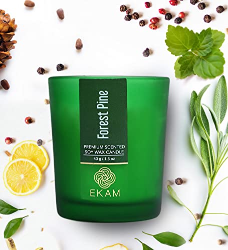 Image of EKAM Forest Pine Votive Soy Wax Scented Candle, 40 Grams, 10 Hours Burn Time| Long Lasting Premium Candles | Ideal for Home Decor | Gifting & Aromatherapy