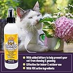 Bodhi Dog 3-in-1 Cat & Kitten Training Aid - Cat Deterrent Spray for Indoor and Outdoor Use - Protect Furniture, Rugs and Plants - Establish Boundaries & Keep Felines Off - Made in USA (8 Fl Oz) - Image 3
