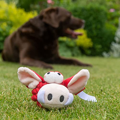 Minifeet Hundespielzeug Knotentier Esel - Für Wilde Spiele oder entspanntes Kauen. Pflegt zusätzlich das Gebiss deines Hundes