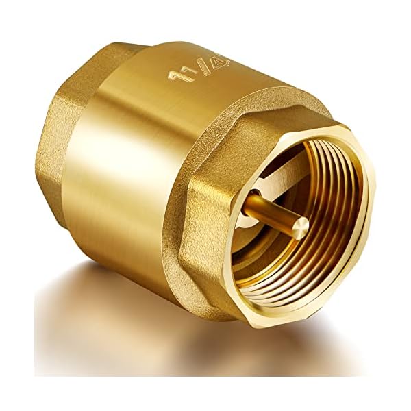11/4 Inch Check Valve Brass InLine Check Valve Female Pipe Thread One