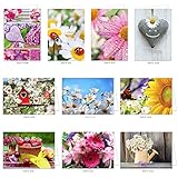 10 Grußkarten Blanko Kunst Foto mit Umschlag, Klappkarten 17x12 cm