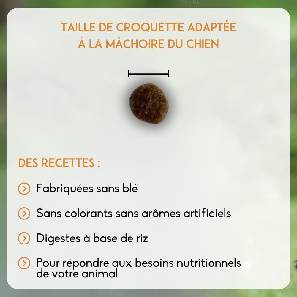 NUTRIVET - Super Premium - Adulte Mini - Croquettes sans Blé - Chien - Riche en Protéines Animales - 15 kg