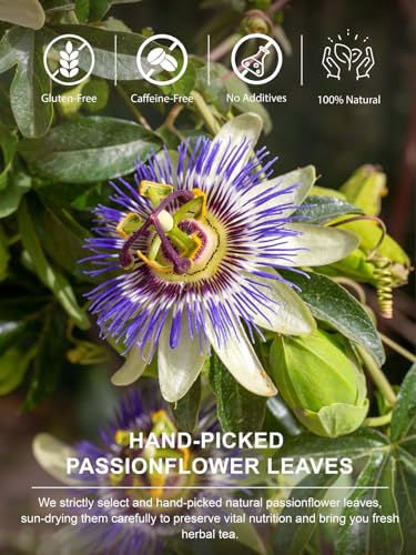 Image of TeeLux Passion Flower Tea Bags, Pack of 100, Vegan, Natural Relaxation, Soothing Floral Aroma, Passion Flower, Caffeine-Free Herbal Tea, Biodegradable Tea Bags