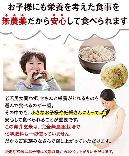 Amazon.co.jp: 発芽玄米 無農薬 いのちの壱 3kg 無洗米 大粒で満足感の