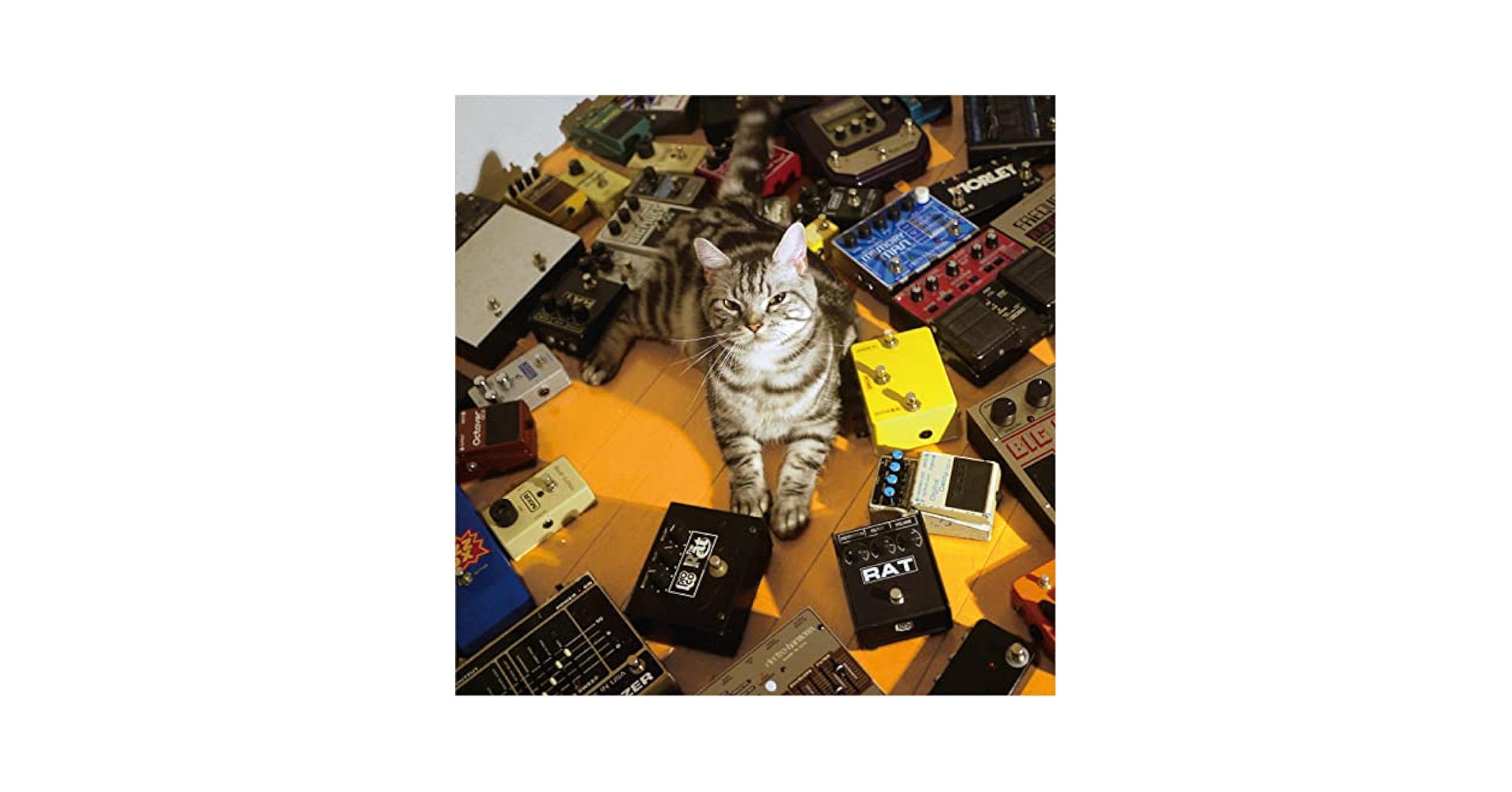 SPOOL スプール 1st ALBUM 　Japanese Shoegaze SPOOL スプール 1st ALBUM Japanese Shoegaze SPOOL スプール