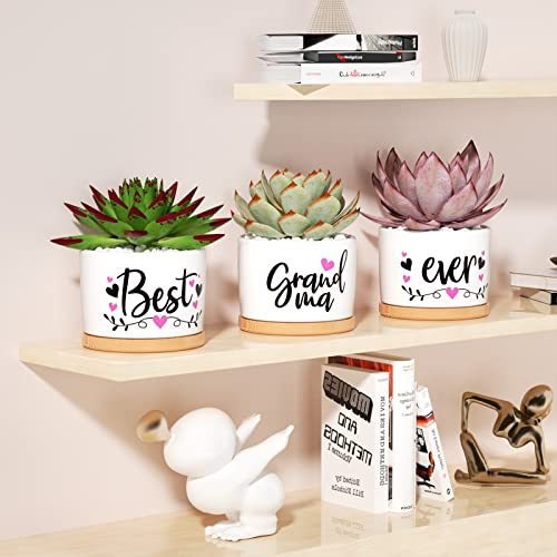 Christmas-Grandma-Gifts-Best-Gifts-for-Grandma-from-Grandchildren-Granddaughter-Best-Grandma-Ever-Succulent-Pots-for-Plants-Indoor-Ceramic-Planter-Gift-Boxed-Cute-Grandma-Birthday-Thanksgiving-Gifts