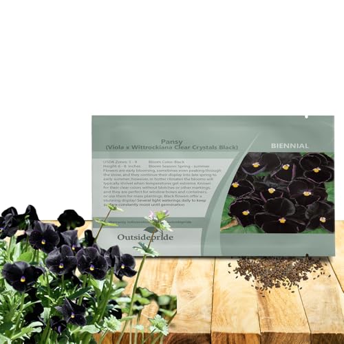 Outsidepride Black Pansy Flower Seed - 1000 Seeds