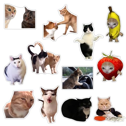 Imán Decorativo de Vinilo GTOTd Gato Divertido 12 Unidades