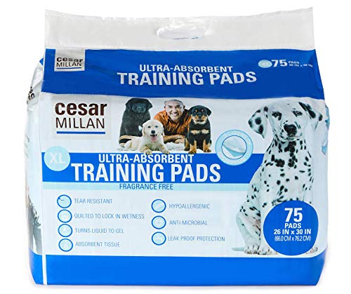 cesar millan training pads
