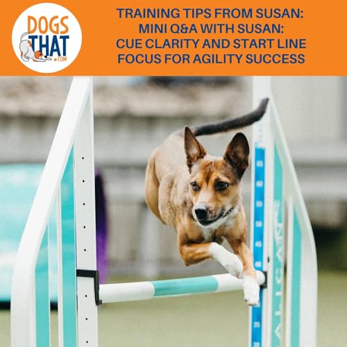 Page de couverture de Training Tips From Susan: Mini Q&A With Susan: Cue Clarity And Start-Line Focus For Agility Success