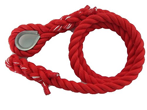 Amazon.co.jp: リプロン製 ターザンロープ(登り綱) 24mm 赤 コース