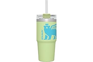 The Stanley Wild Imagination Quencher Tumbler: A Boy's Dream Come True