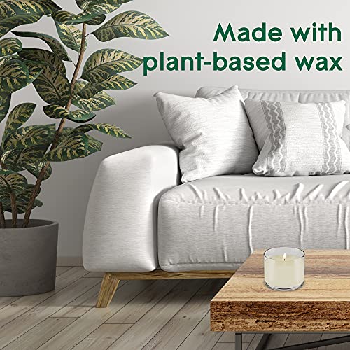 Glade Aromatherapy Candle, Home Decor Scented Calming Jar Candle, Up to 37 Hour Burn Time, Calm Mind with Italian Bergamot & Guatemalan Lemongrass, 260g - Image 4