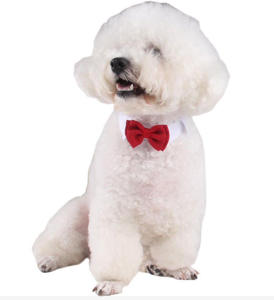 2 Pezzi Piccolo Cane Gatto Cotone Collare Regolabile Cravatta a Farfalla Animale Domestico Formale Bowknot (S)