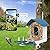 Bird Feeder with Camera,AI Identify Birds Species,Smart Bird Camera with Solar Powered,Auto Record FHD Birds Video in Backyard,Instant Notifications,Ideal Gift for Family and Bird Lovers,Navy Blue