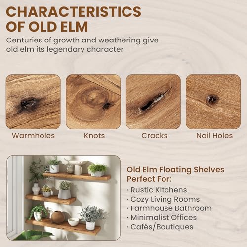 Image of Fun Memories 16 inch Wall Mounted Floating Shelves, Natural Elm Wood, 2 Pack