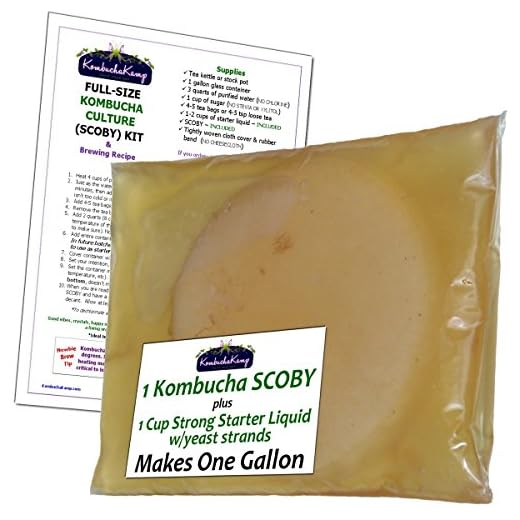Kombucha Kamp Äkta KOMBUCHA-kultur (1 Lrg SCOBY + 1 kopp stark startliknande – gör 1 gallon)
