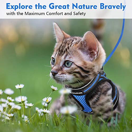 rabbitgoo Cat Harness and Leash Set for Walking Escape Proof, Adjustable Soft Kittens Vest with Reflective Strip for… - Image 3