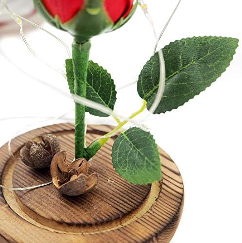 Jieway Beauty and The Beast Rose, Rose Light Dream Flower in a Glass Dome with USB LED Light Wooden Base Gift for Valentine's Day, Weddings (Red)