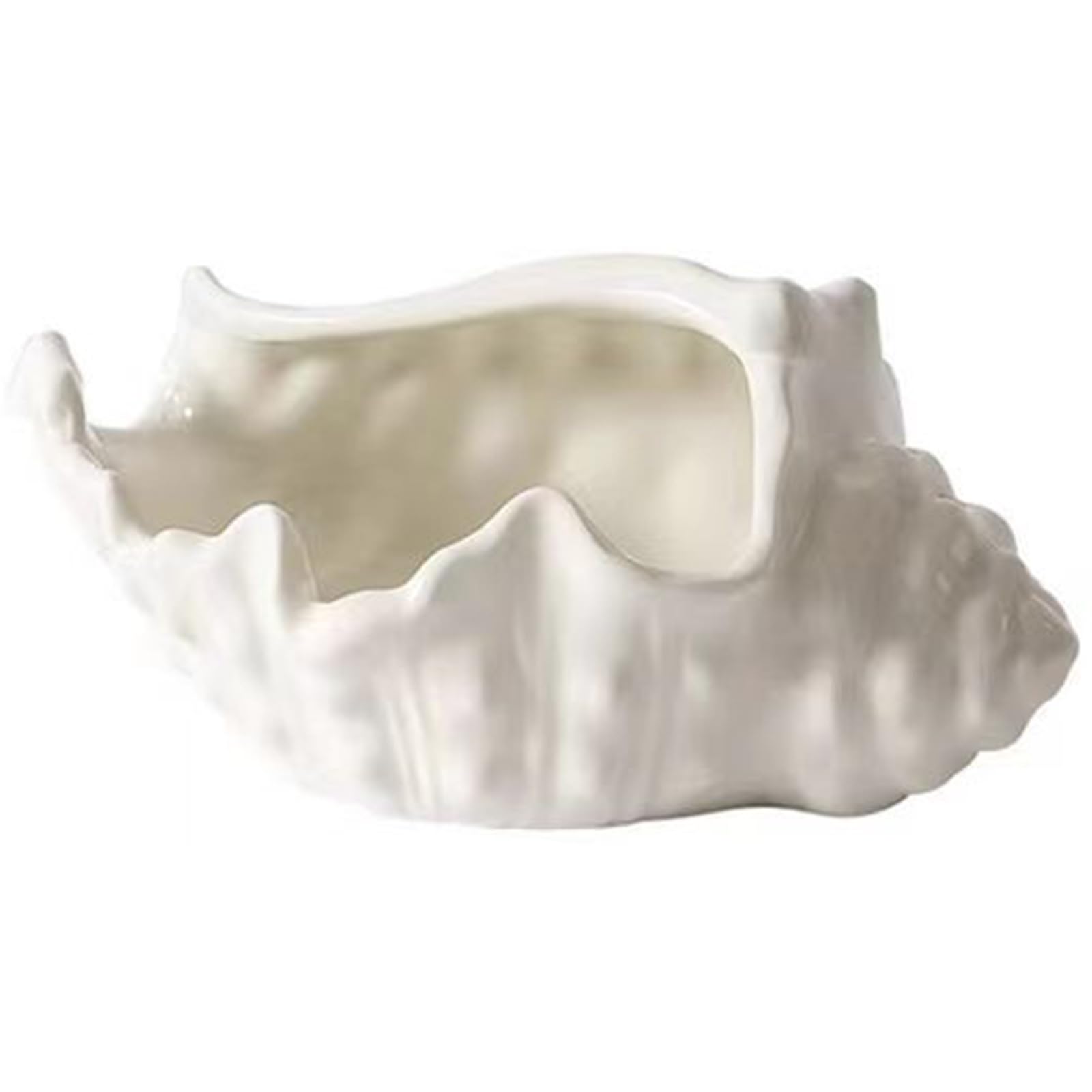 FackLOxc Ceramic Jewelry Display Conch Pattern Decorative Storage Accessory for Necklaces Bracelets Stylish Conch Shaped Accessories Tray